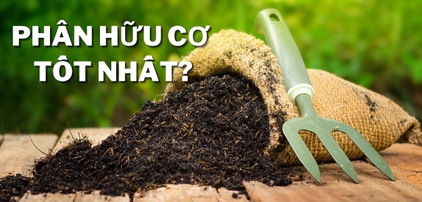 Top 6 loại phân hữu cơ tốt nhất