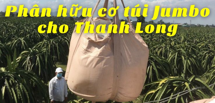 Phân hữu cơ Nhật cho cây Thanh Long - túi Jumbo