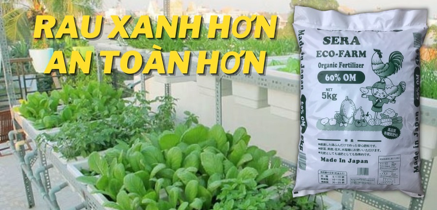 Phân hữu cơ bón rau, hoa, cây cảnh